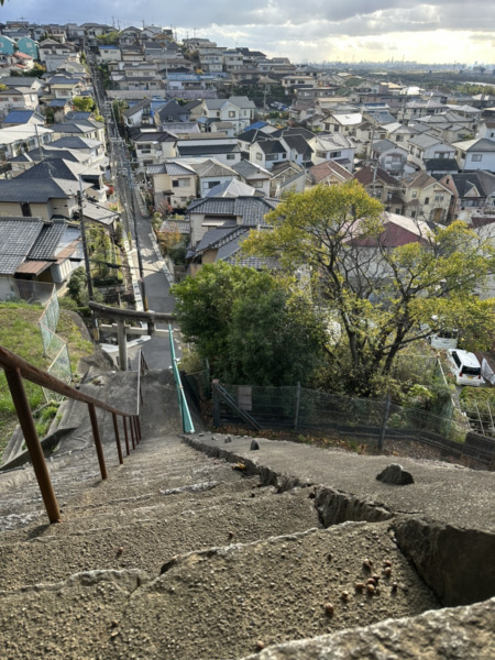 重要文化財、狩尾神社
